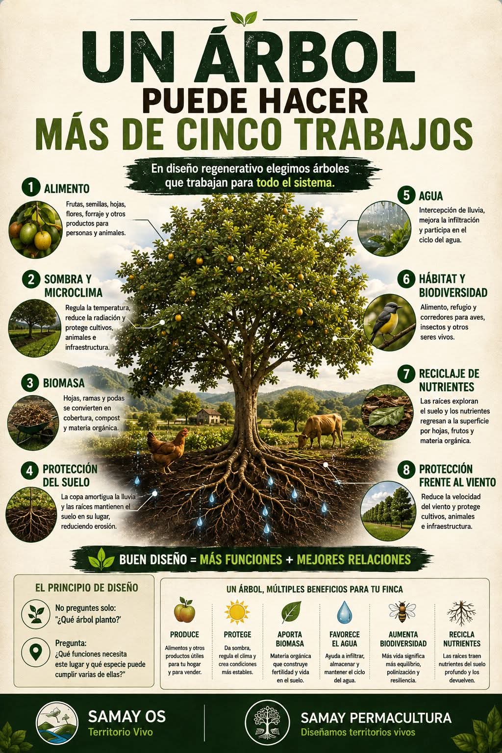 arbol, trabajos