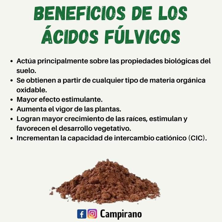 acidos, fulvicos