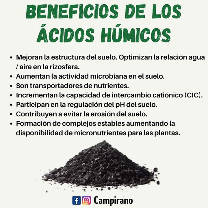 acidos, humicos