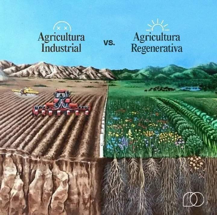 agricultura, regenerativa