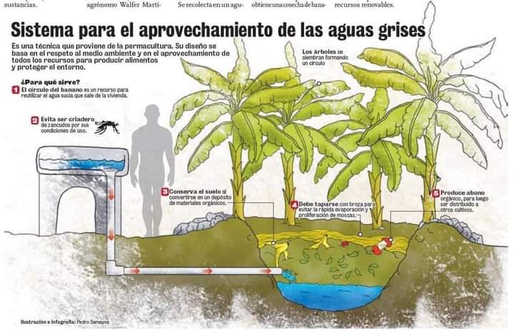 aguas, grises