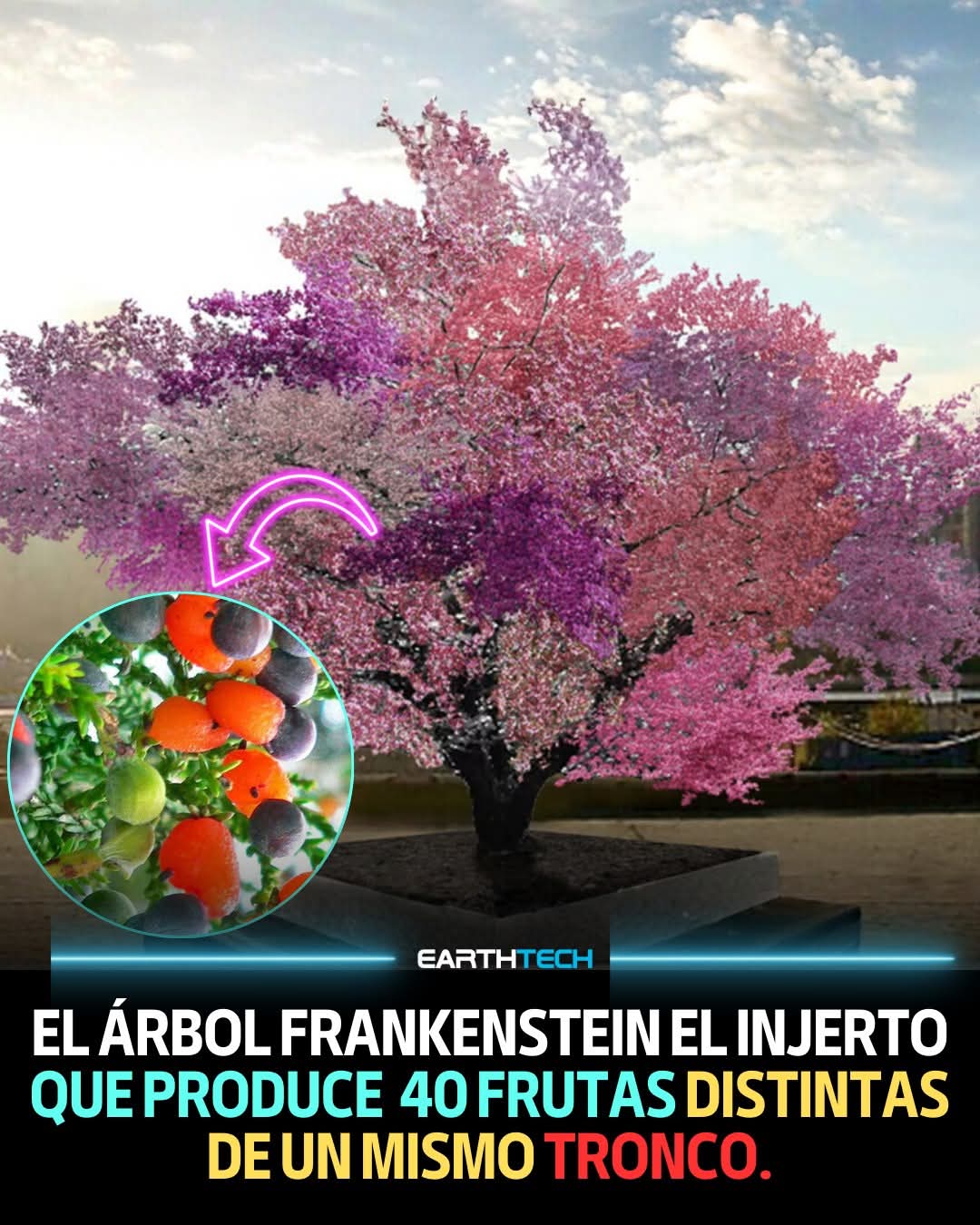 arbol, frankestein