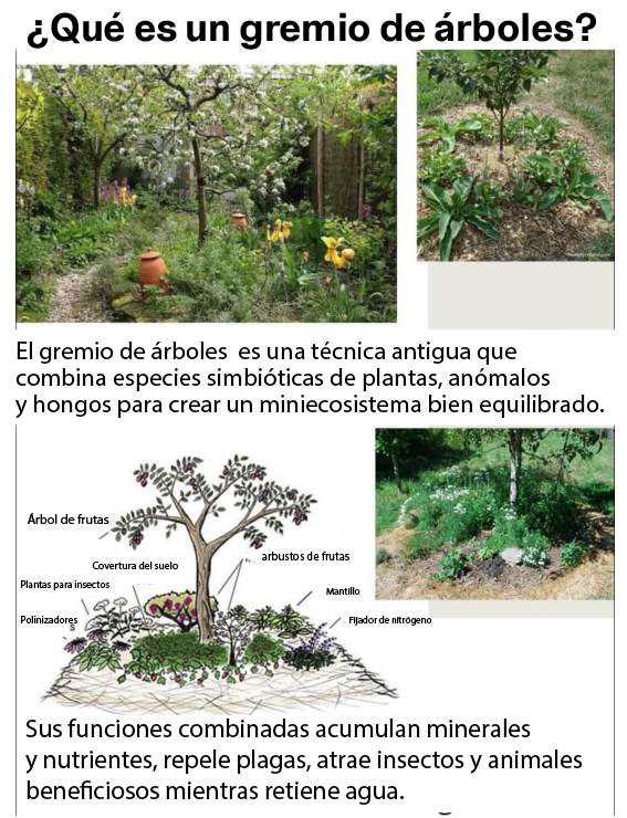 arbol, gremio
