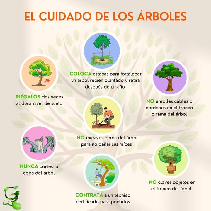 arboles, cuidado