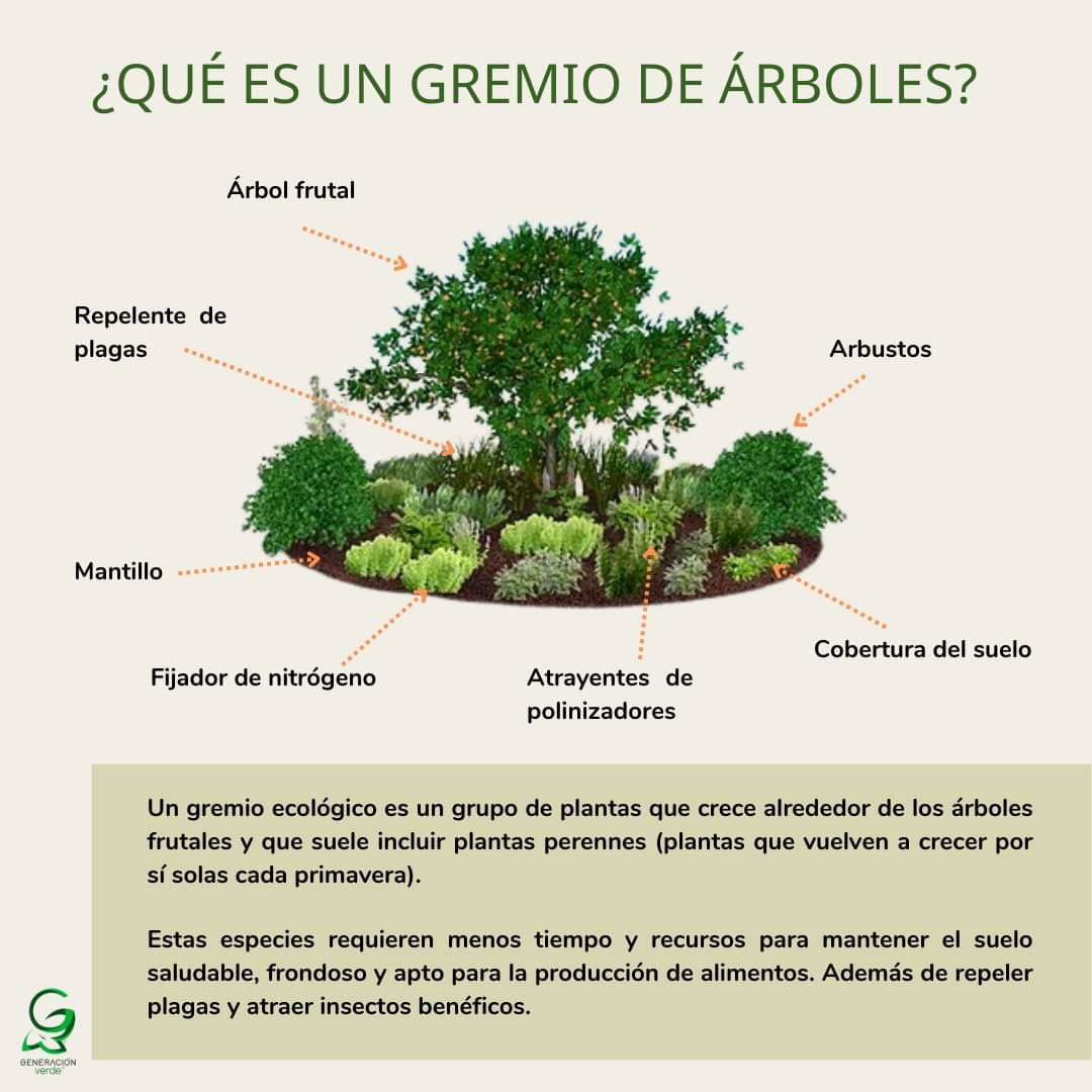 arboles, gremio