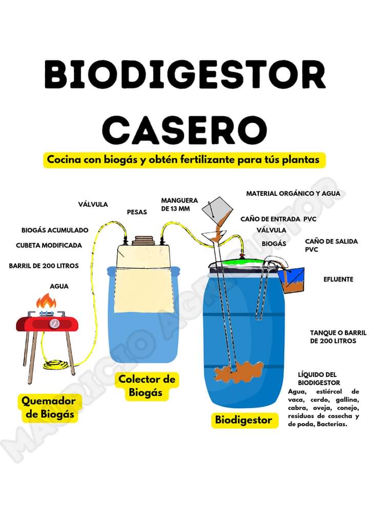 biodigestor
