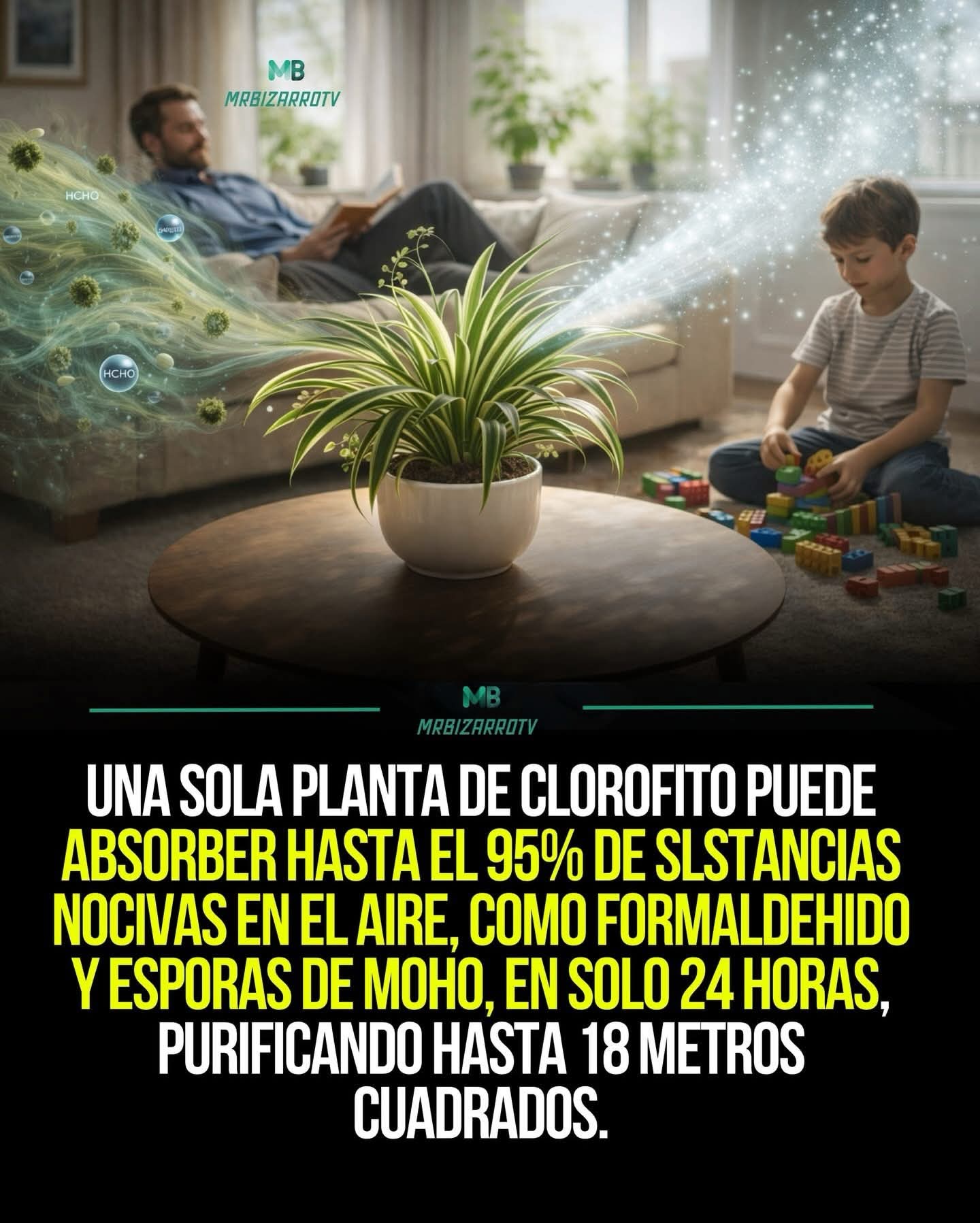 clorofito