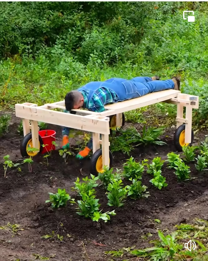 cocechadora, soporte