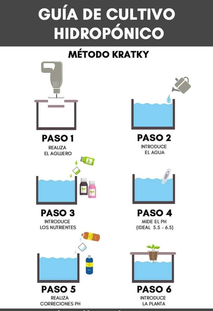 cultivo, hidroponico