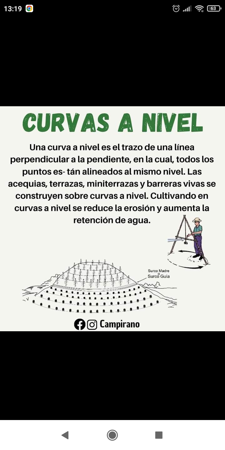 curvas, nivel