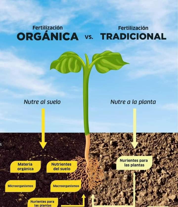 fertilizacion, organica