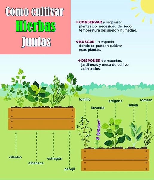 hierbas, juntas