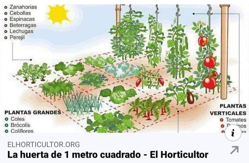 huerto, 1m