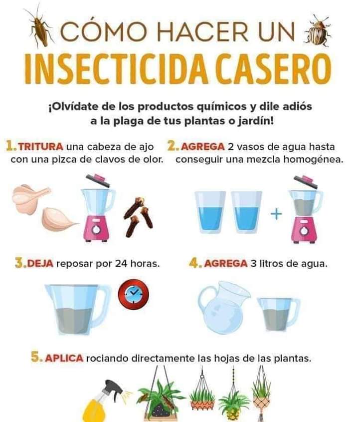 insecticida, casero