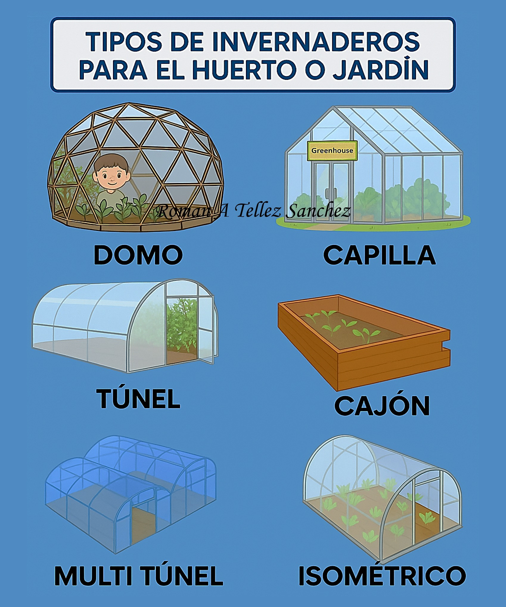 invernadero, tipos