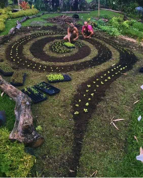 jardin, espiral