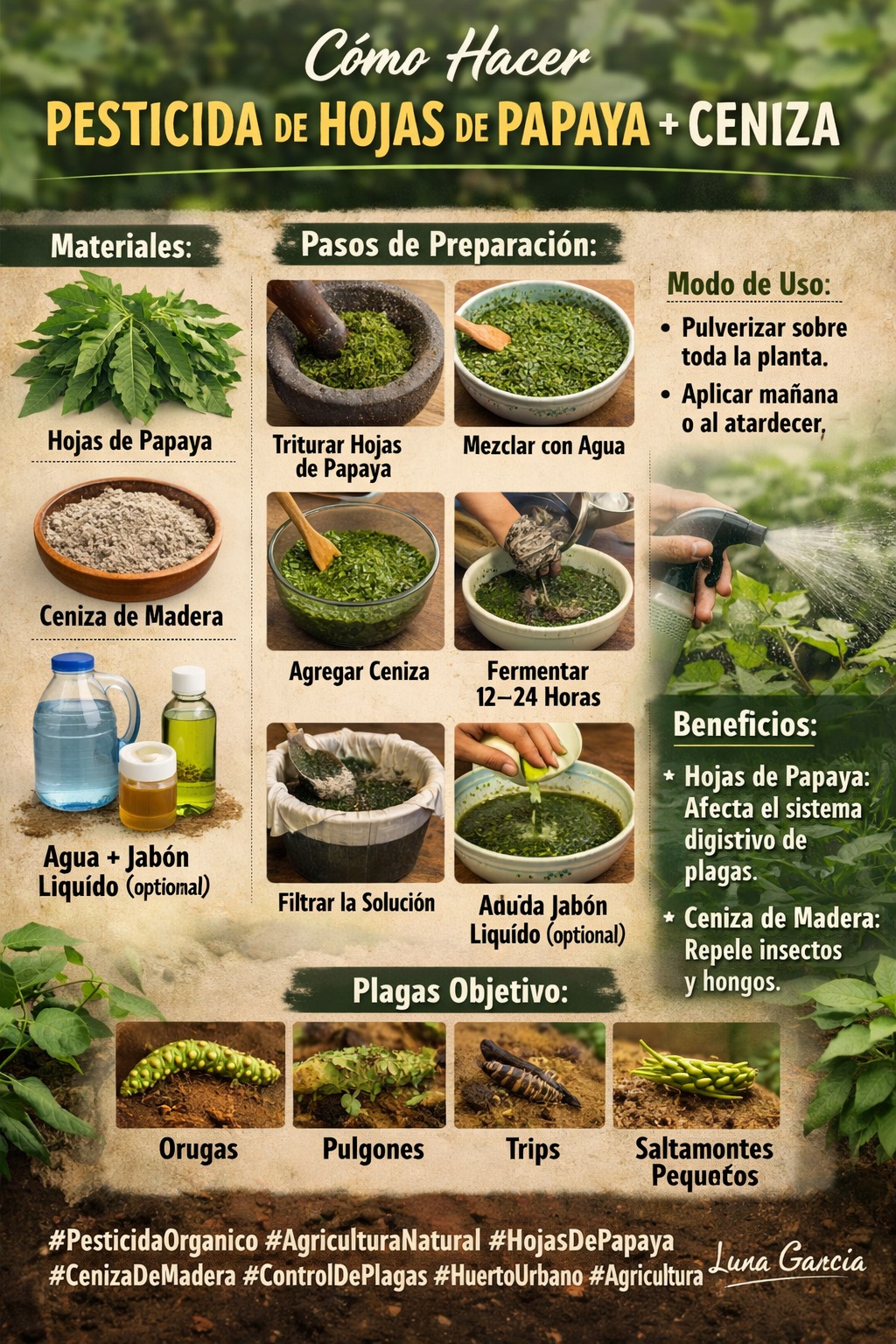 pesticida, papaya, ceniza