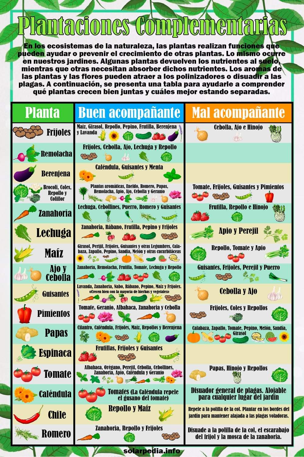 plantaciones, complementarias