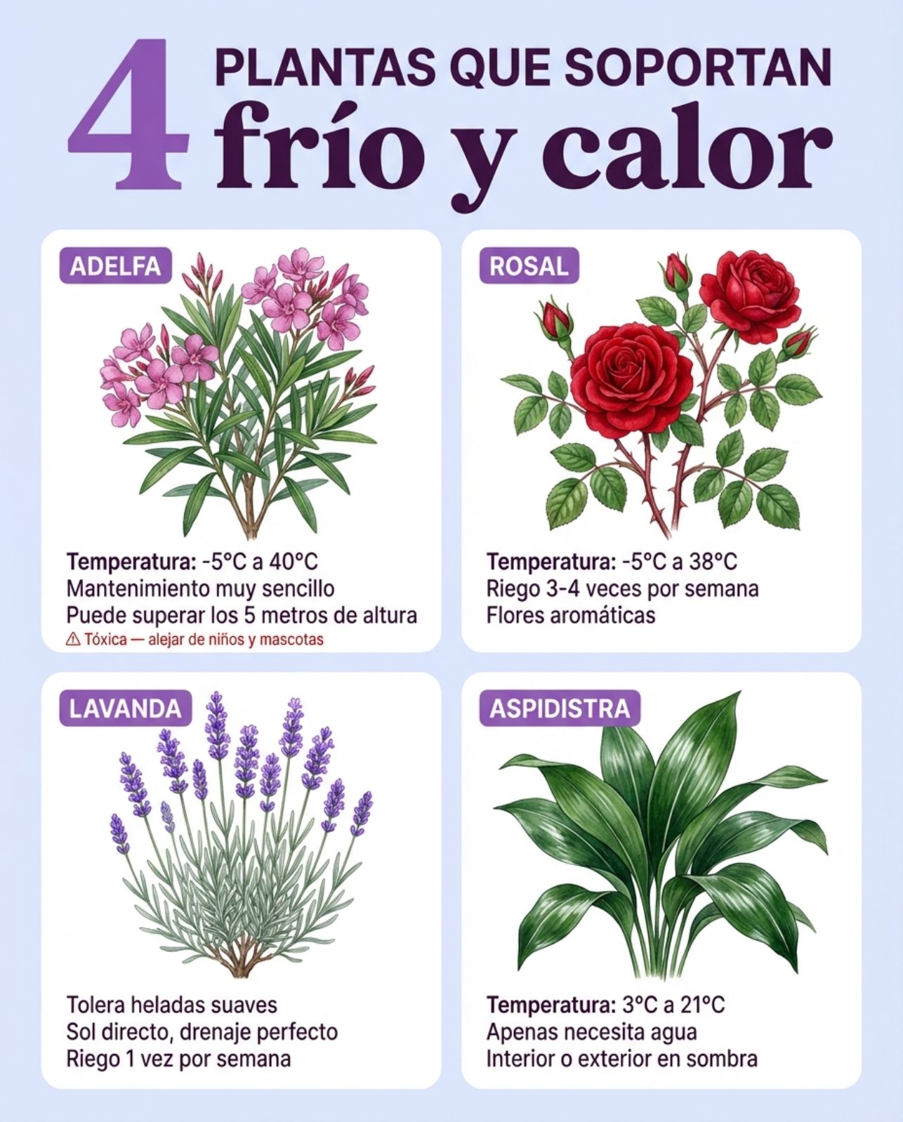 plantas, frio, calor