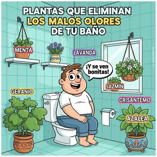 plantas, olores