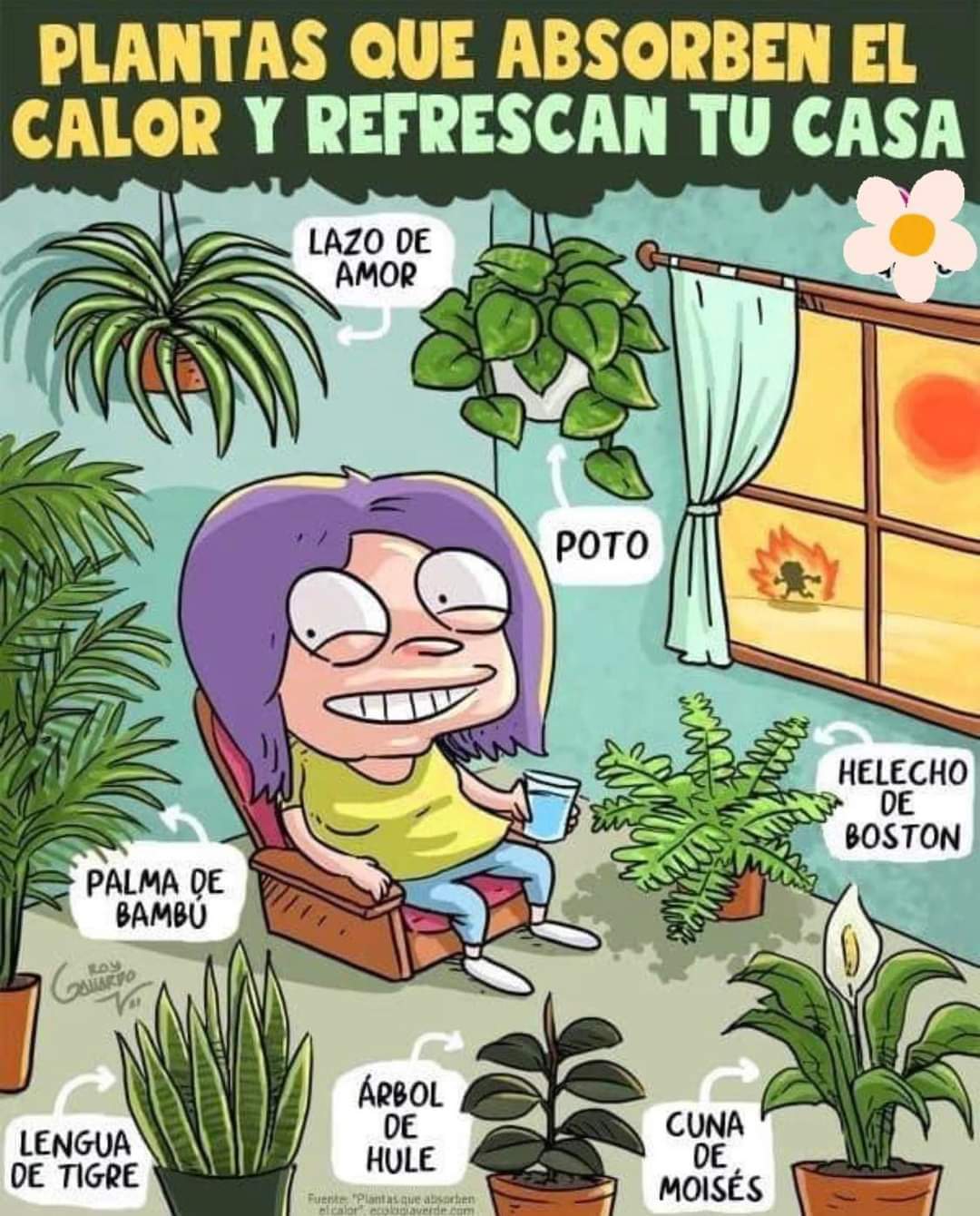 plantas, refrescantes