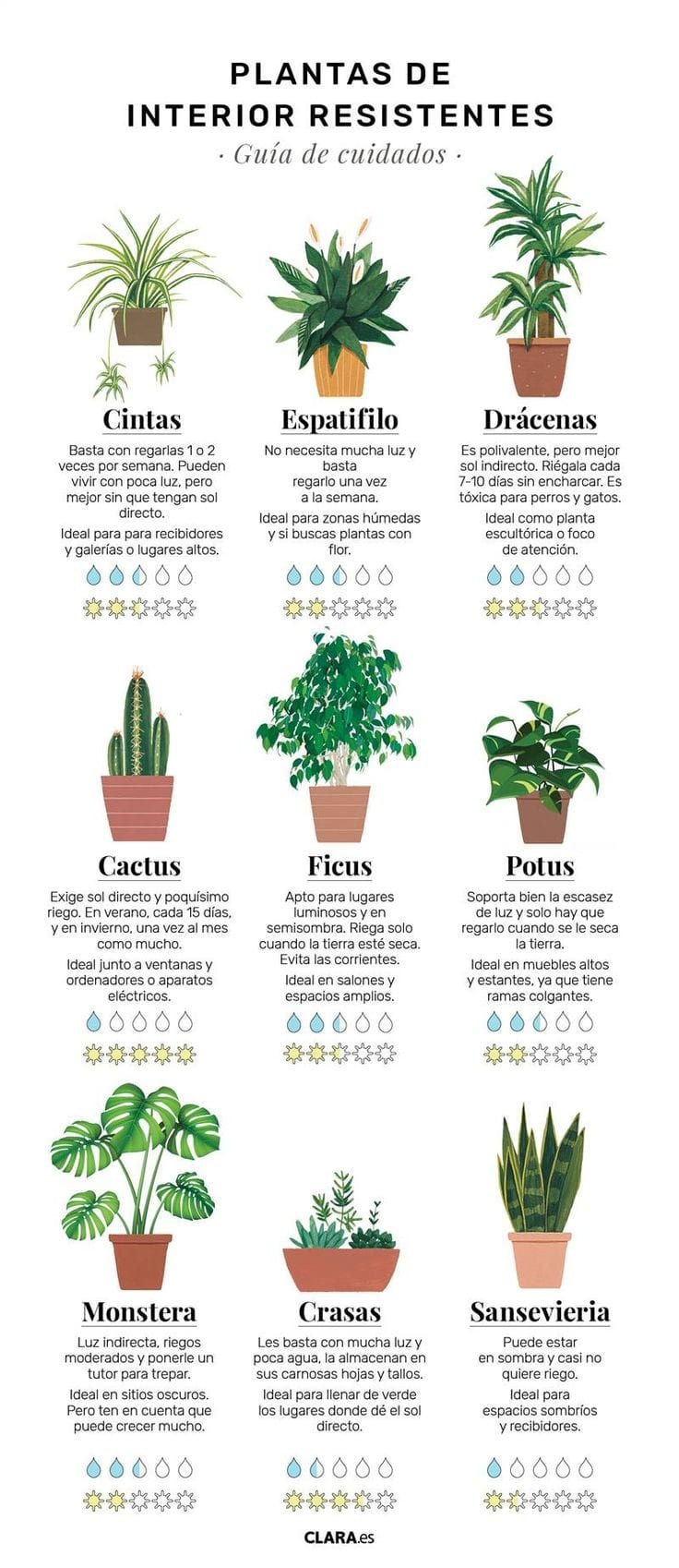 plantas, resistentes
