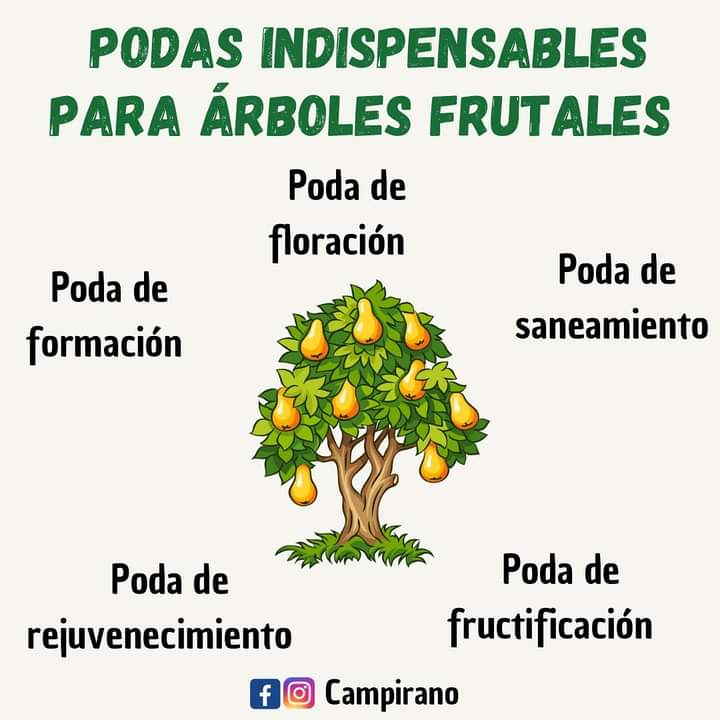 poda, frutales