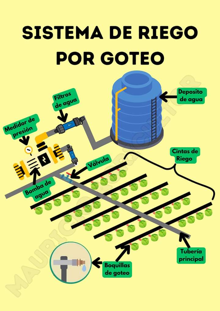 riego, goteo