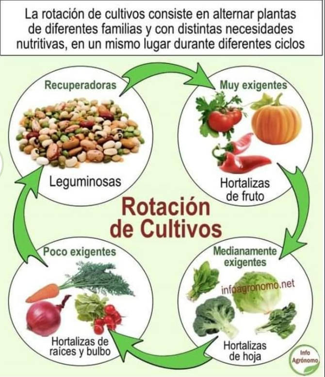 rotacion, cultivos