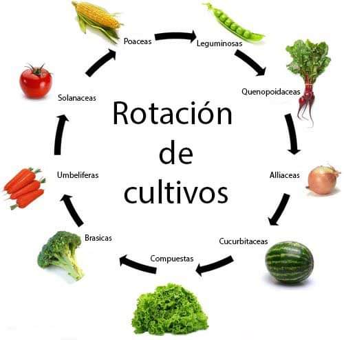rotacion, cultivos