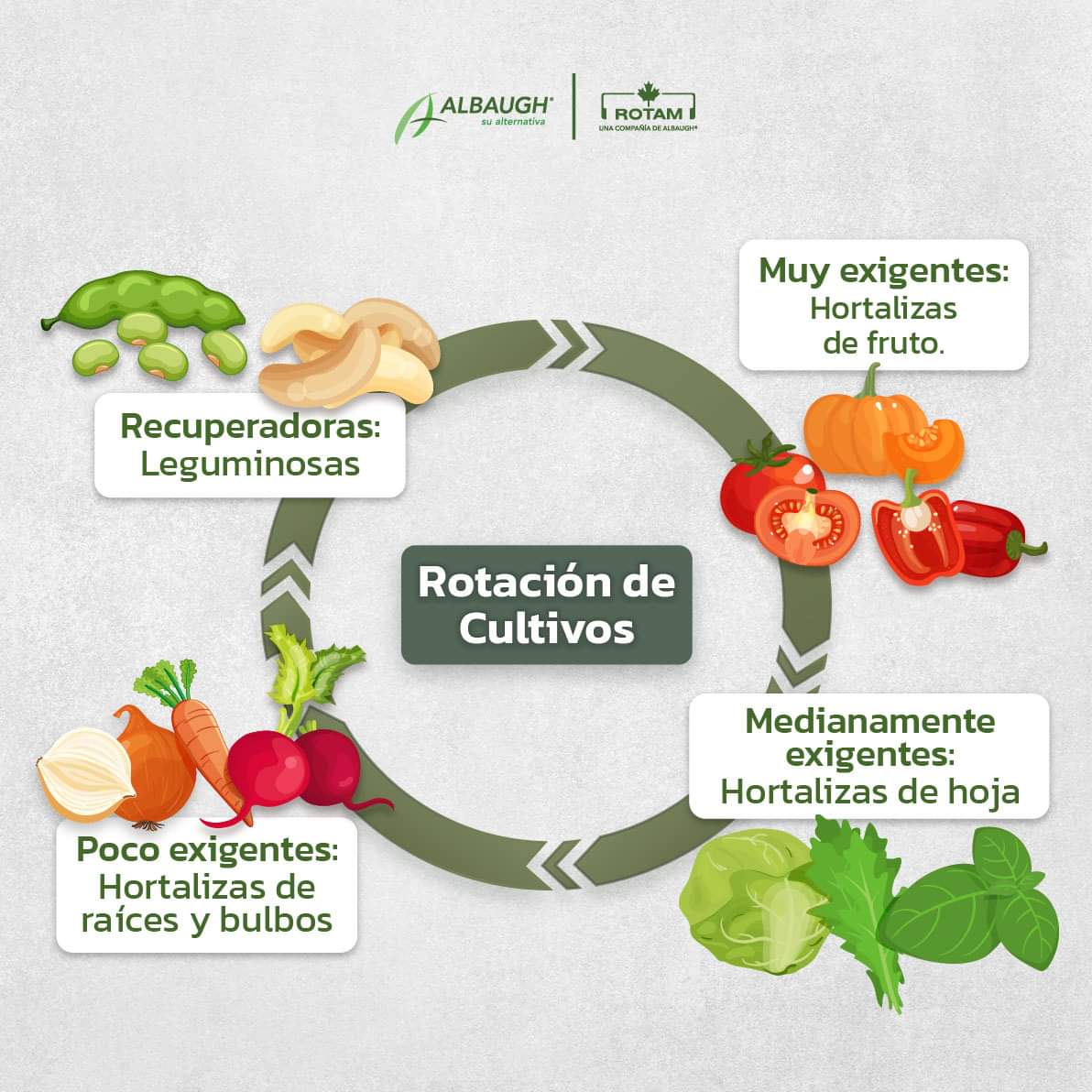 rotacion, cultivos