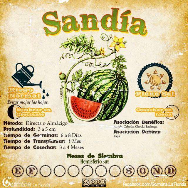 sandia
