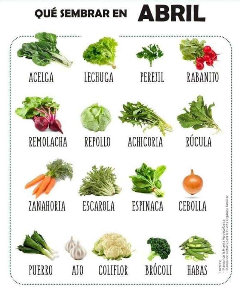 sembrar, abril