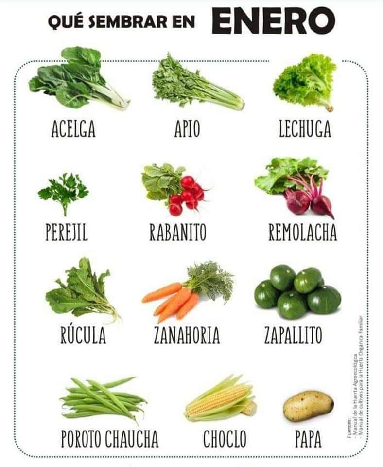 sembrar, enero