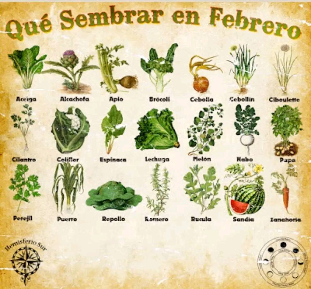 sembrar, febrero