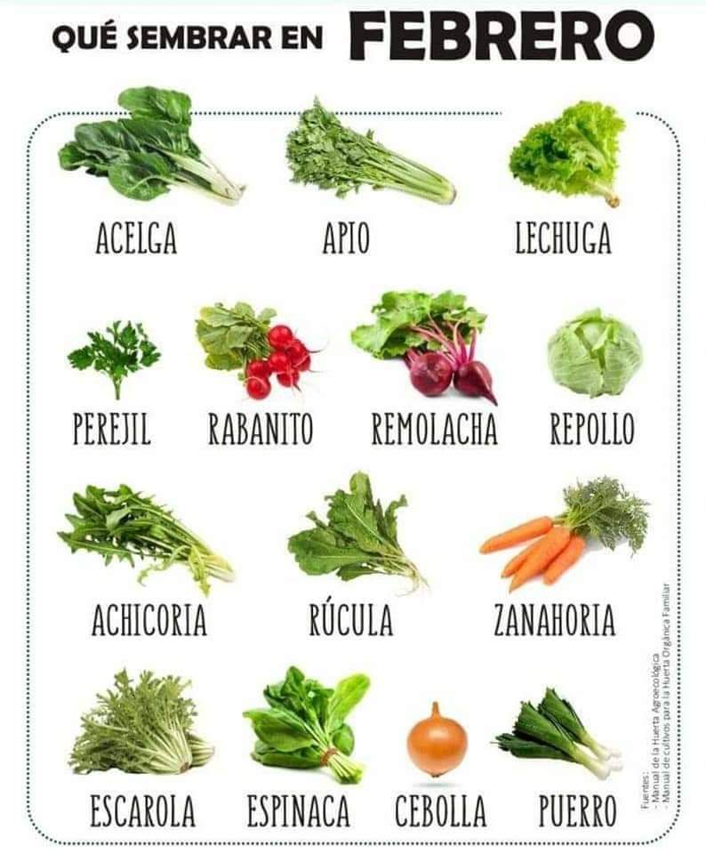 sembrar, febrero