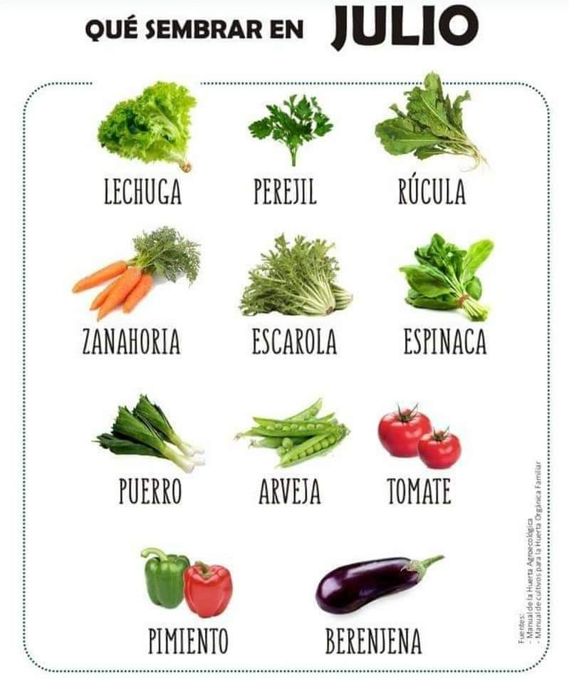 sembrar, julio