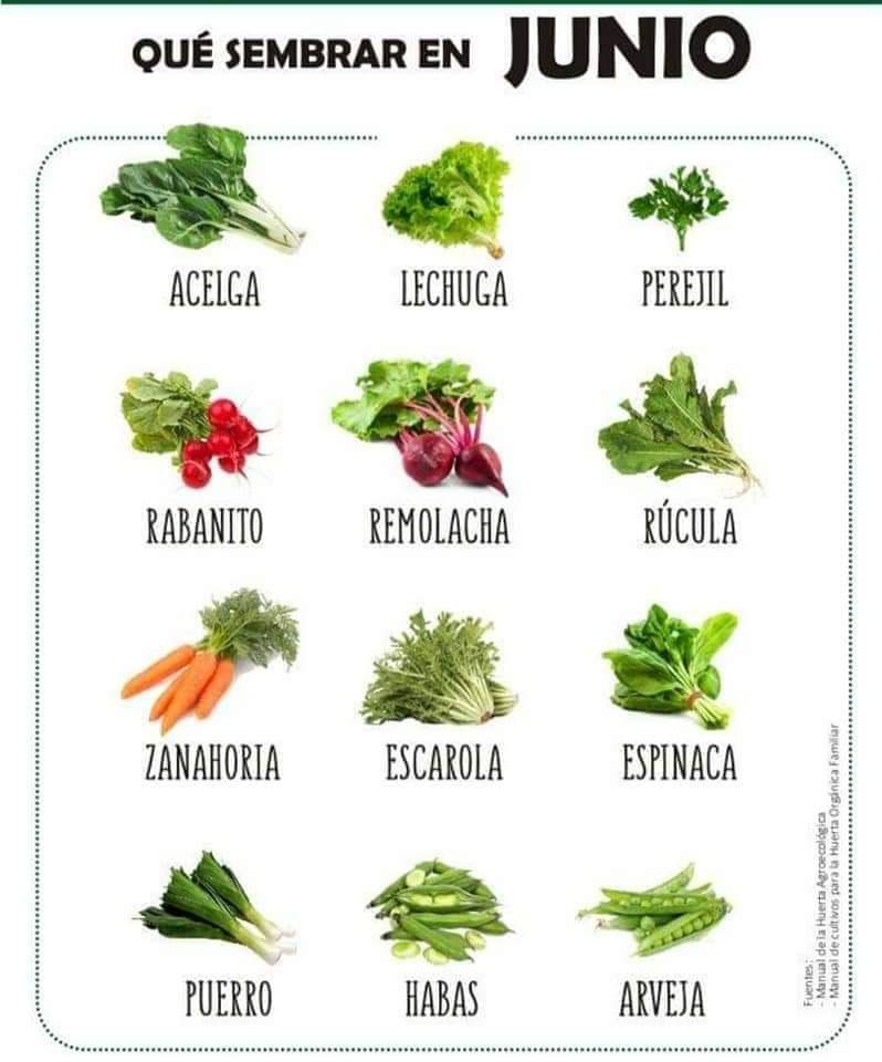 sembrar, junio