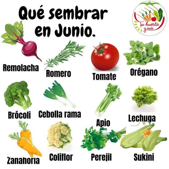 sembrar, junio