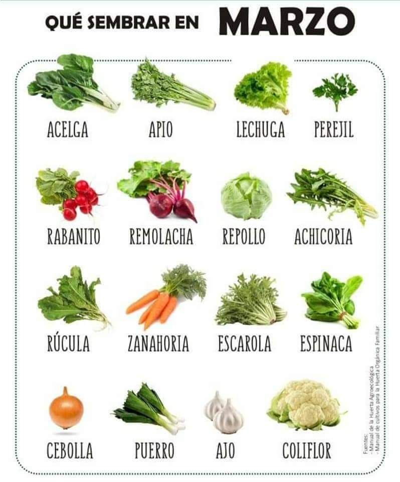 sembrar, marzo