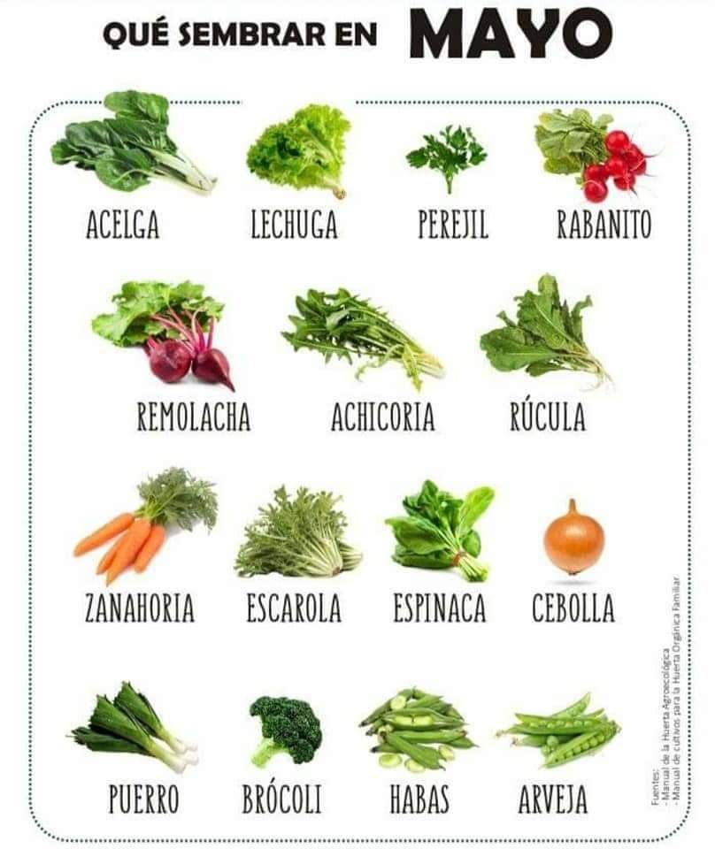 sembrar, mayo