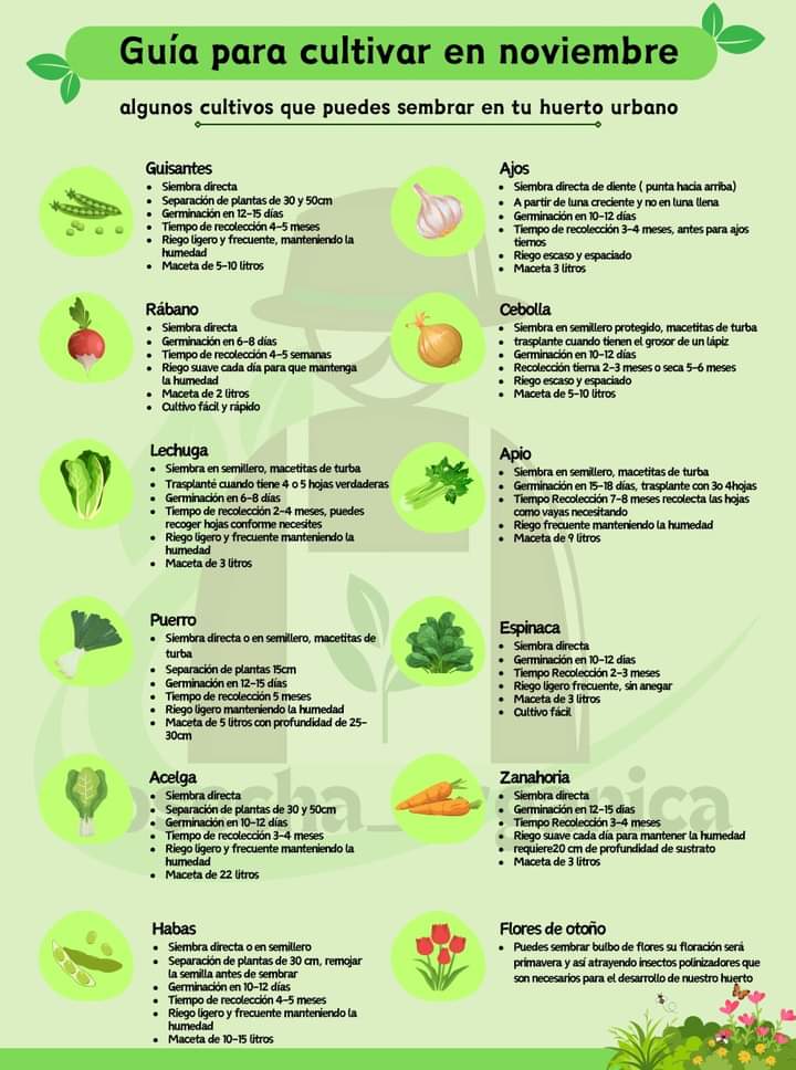 sembrar, noviembre