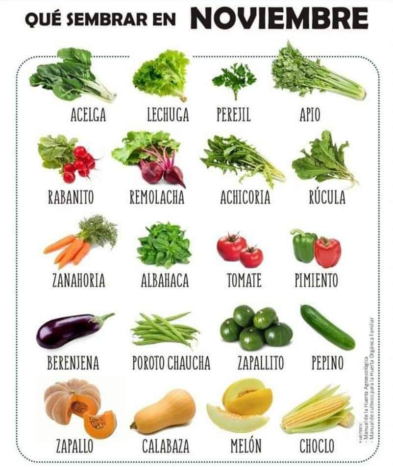 sembrar, noviembre