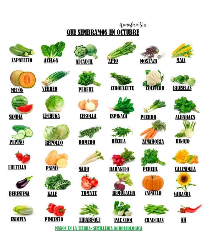 sembrar, octubre