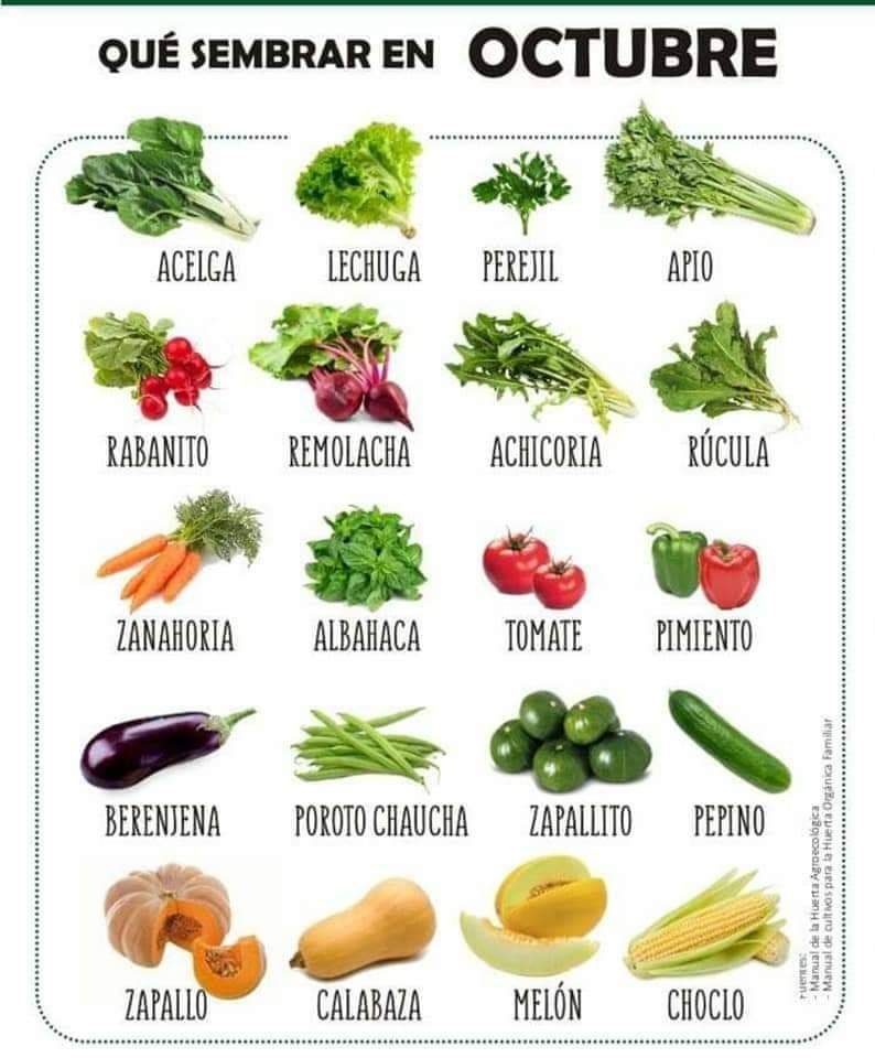 sembrar, octubre
