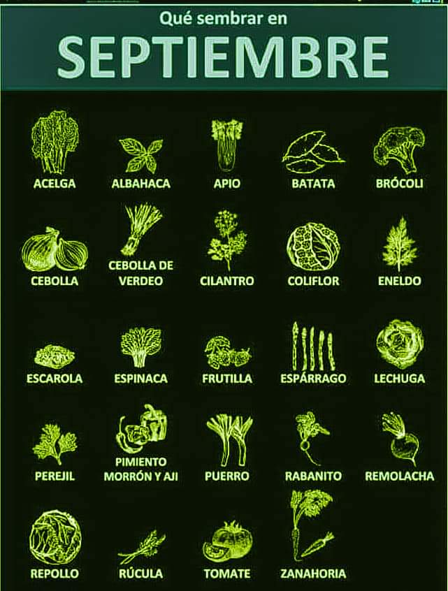 sembrar, septiembre