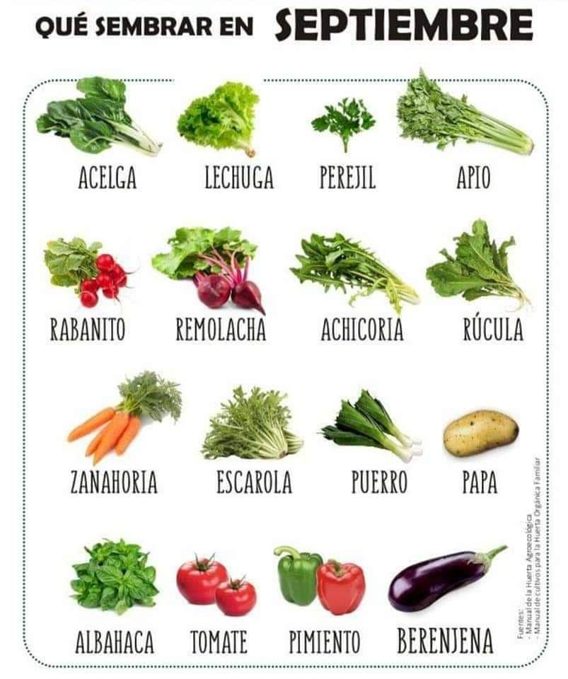 sembrar, septiembre