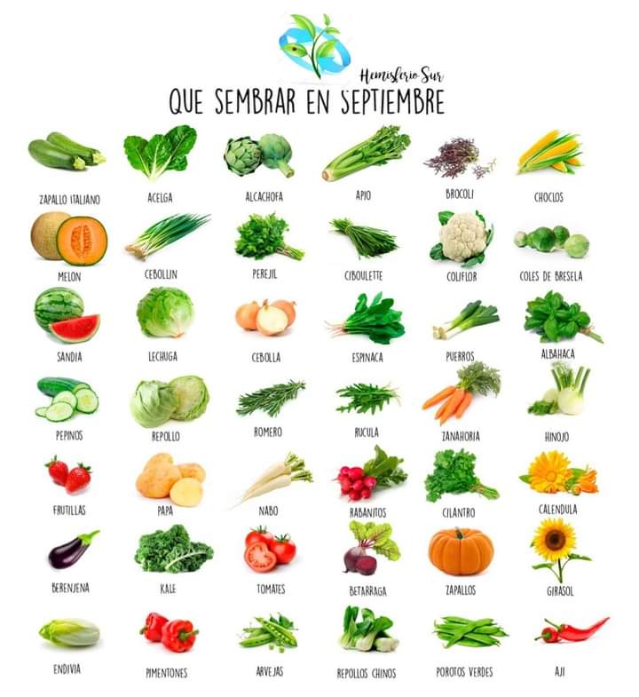 sembrar, septiembre
