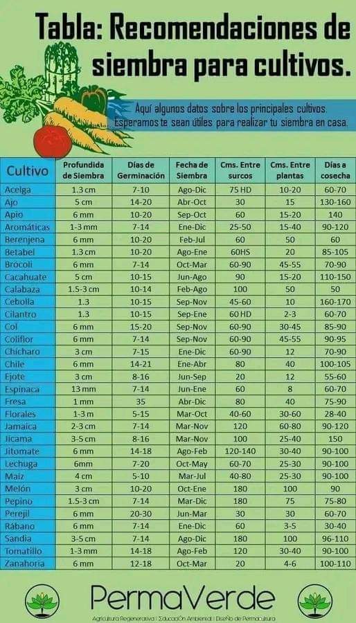 siembra, recomendaciones