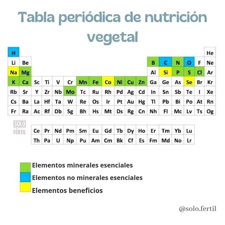 tabla, periodica
